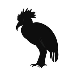 Black Turaco Bird