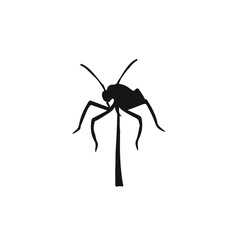 Black Tree Cricket