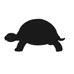 Black Tortoise Symbol