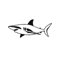 Black Thresher Shark