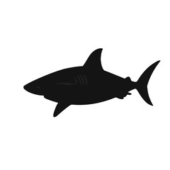 Obraz premium Black Thresher Shark