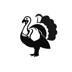 Black and White Turkey