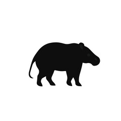 Black and White Tapir