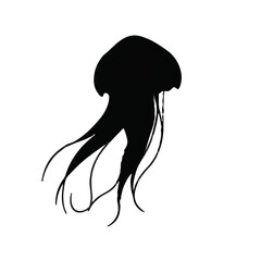 Jellyfish Container Image