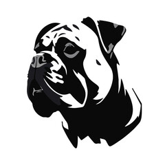 Bullmastiff Canine