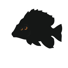 Buffalo-Fish-Animal