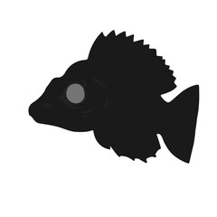 Buffalo-Fish-Animal