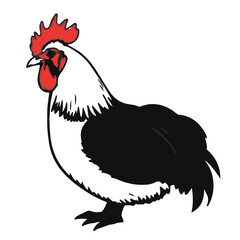 Buff Orpington Chicken