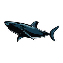Bronze Whaler Shark Image