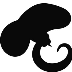 Brahminy Blindsnake Illustration