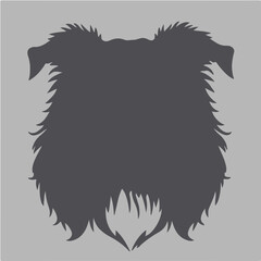 Bracco Italiano Image