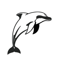 Bottlenose Dolphin Image