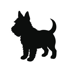 Boston Terrier Logo Symbol