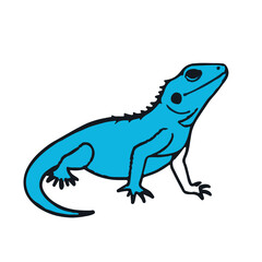 Blue-Belly Lizard Illustration