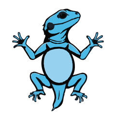 Blue-Bellied Lizard