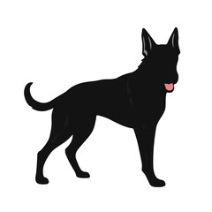 Black Bloodhound Illustration