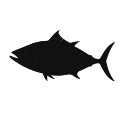 Blackfin Tuna