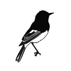 Blackburnian Warbler