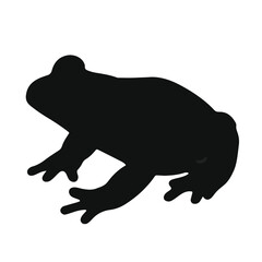 Fototapeta premium Black Bullfrog Illustration