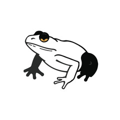 Black Bullfrog Image