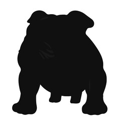 Black Bulldog Image