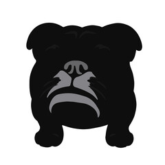 Black Bulldog Illustration