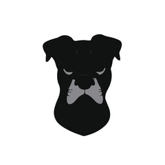 Fototapeta premium Black Boxing Mixed Animal