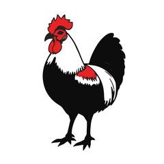 Bantam Animal Illustration