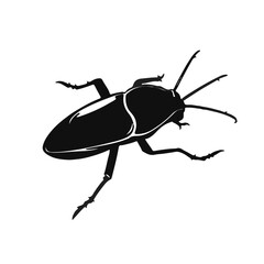 Cuban Cockroach Illustration