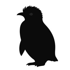 Crested Penguin Illustration