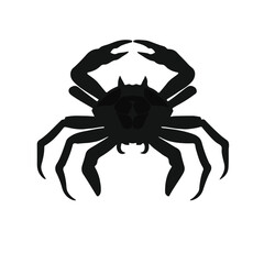 Crab-Spider Illustration