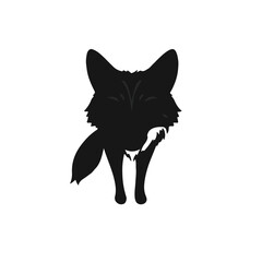 Black Coyote Animal