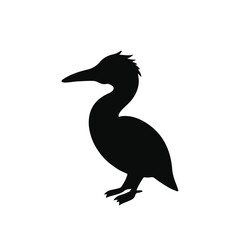 Cormorant Bird Image