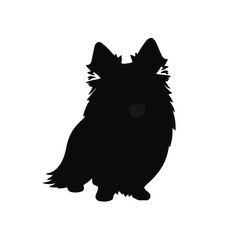 Black Collie Illustration