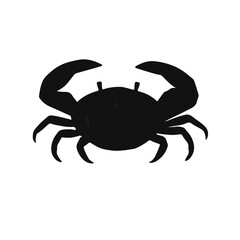 Coconut Crab Animal Graphic