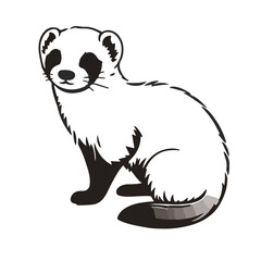 Cinnamon Ferret Animal