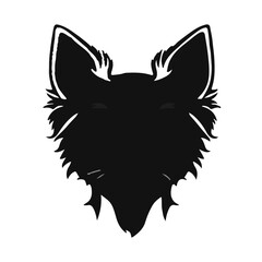 Black Chiweenie Pet Profile