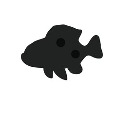 Black Chiton Marine Animal