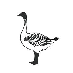 Chinese Goose Illustration