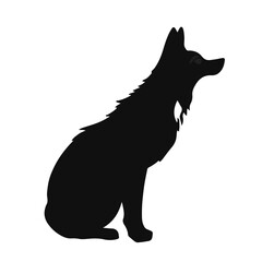 Black Coyote Animal