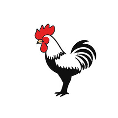 Black Cockle Marine Life