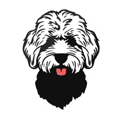 Black Cockapoo Portrait