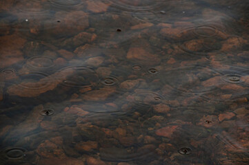 A detailed close-up showing the concentric ripples created by falling raindrops on a body of water with a stony bottom visible beneath the surface.