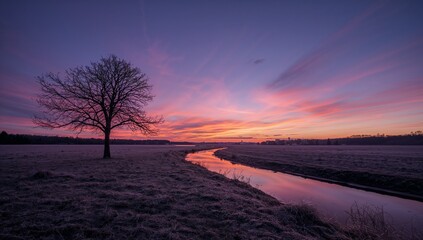 Lone tree beside a winding stream under a vibrant sunset sky