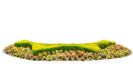 Design hedges cut green tree with colorful flowers bed selective pruning and trimming of branches on Transparent Background.	
