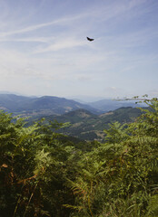 Mountain Landscape in Spain 