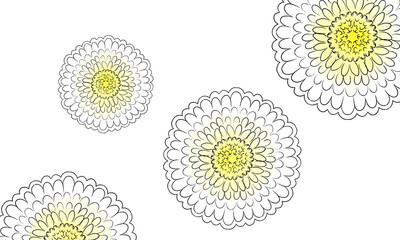 上品な菊のフレーム背景