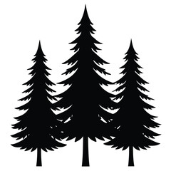 Obraz premium Black pine trees silhouette evergreen forest