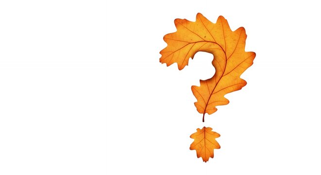 Question mark made from autumn leaf - Powered by Adobe