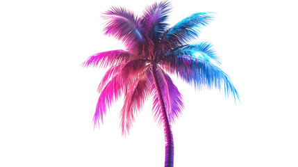 Neon palm tree glowing tropical light sign summer beach decoration isolated on white background